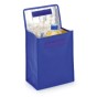 Keixa Cool Bag